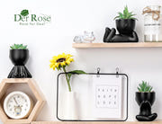 Der Rose Artificial Succulent Plants Set of 3