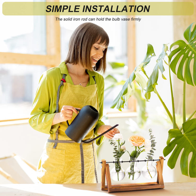Plant Terrarium with Wooden Stand, Air Planter Bulb Glass Vase Metal