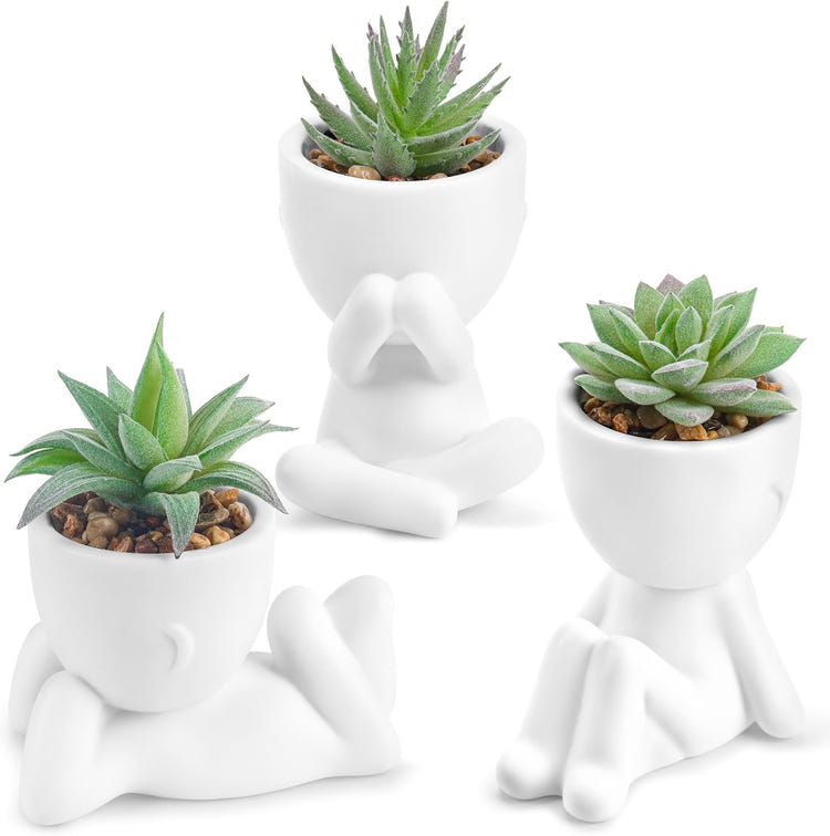Der Rose Artificial Succulent Plants Set of 3