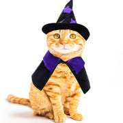 Dxhycc Halloween Wizard Costume for Cats & Small Dogs