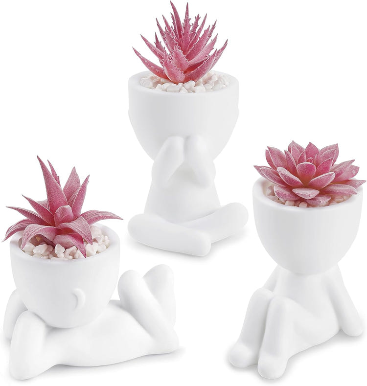 Der Rose Artificial Succulent Plants Set of 3