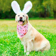 ADOGGYGO Halloween Dog Bandana
