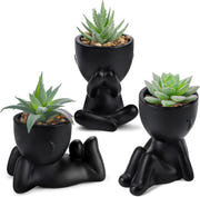 Der Rose Artificial Succulent Plants Set of 3