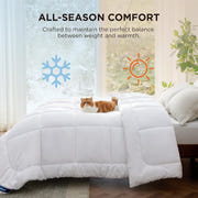 Bedsure Queen Comforter Duvet Insert White