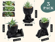 Der Rose Artificial Succulent Plants Set of 3