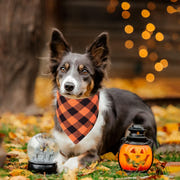 ADOGGYGO Halloween Dog Bandana