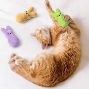 MALLMALL6 Halloween Catnip Toys – 5pcs Pumpkin Teething Set for Kittens & Cats