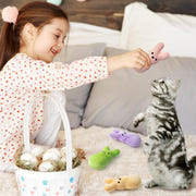 MALLMALL6 Halloween Catnip Toys – 5pcs Pumpkin Teething Set for Kittens & Cats