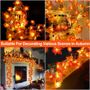TURNMEON 2-Pack 20ft Maple Leaf LED String Lights