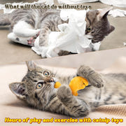 MALLMALL6 Halloween Catnip Toys – 5pcs Pumpkin Teething Set for Kittens & Cats