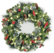 National Tree 24 Inch Pre-Lit Crestwood Spruce Christmas Wreath with LED Lights