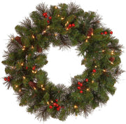 National Tree 24 Inch Pre-Lit Crestwood Spruce Christmas Wreath with LED Lights