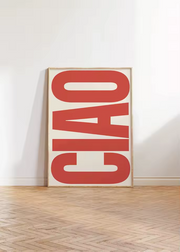 Retro OH HI and CAIO, Modern Typography Canvas Print